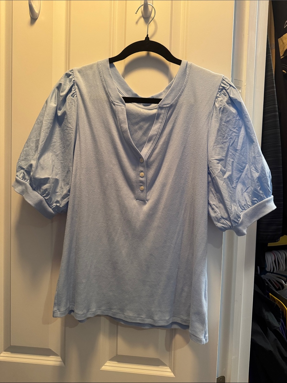 GAP Light Blue Puff Sleeve Henley Blouse